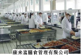广东康来富饮食管理 专业餐饮管理咨询，赋能餐饮企业高效发展